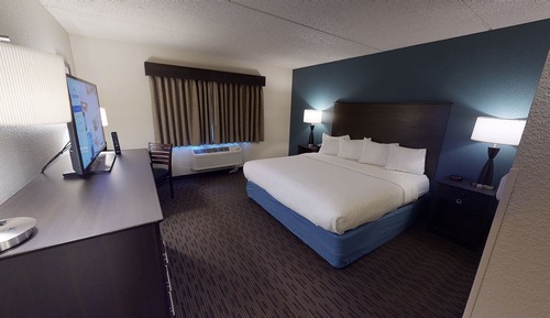 Premier Suite, 1 King Bed, Non Smoking (One-Bedroom Suite)