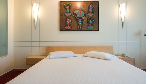 Standard Double Room Single Use