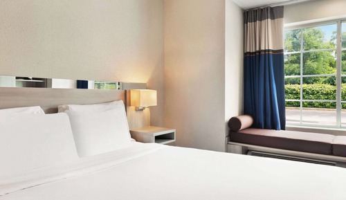 Room, 1 King Bed, Non Smoking