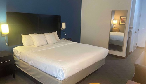 Standard Room, 1 King Bed, Non Smoking