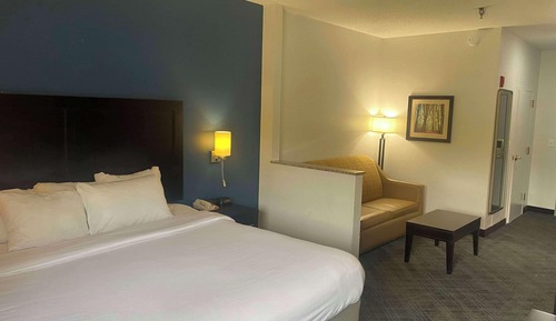 Suite, 1 King Bed with Sofa bed, Non Smoking