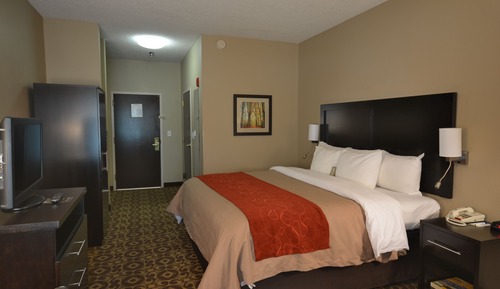Room, 1 King Bed, Accessible, Non Smoking