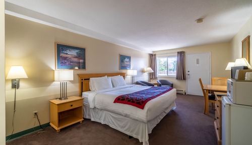 Room, 1 King Bed, Non Smoking