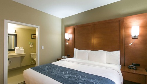 Suite, 1 King Bed with Sofa bed, Accessible, Non Smoking