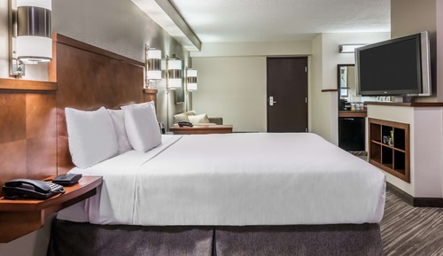 Room, 1 King Bed