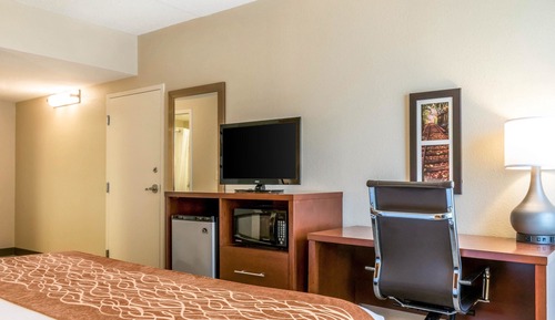 Standard Room, 1 King Bed, Non Smoking
