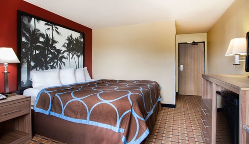 Room, 1 King Bed, Smoking