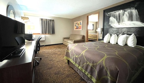 Studio Suite, 1 Queen Bed, Non Smoking