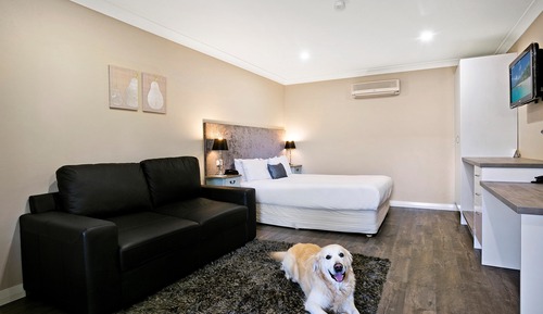 Standard Room, 1 Queen Bed, Non Smoking (Pet Friendly)