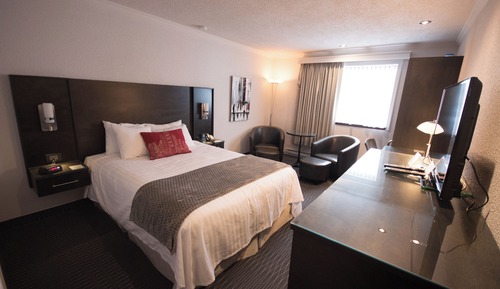 Business Room, 1 Queen Bed