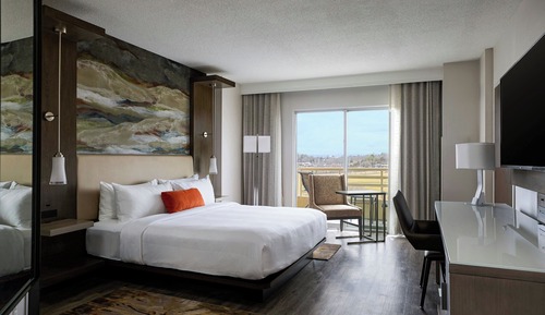Room, 1 King Bed (Mobility Accessible, Roll-In Shower)