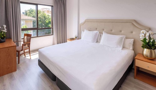 1 King Bed, Suite