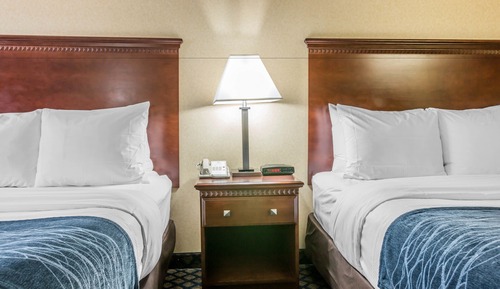 Standard Double Room, 2 Double Beds, Non Smoking