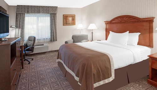 Standard Room, 1 King Bed