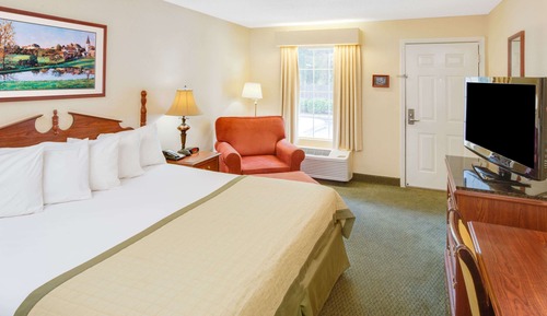 Room, 1 King Bed