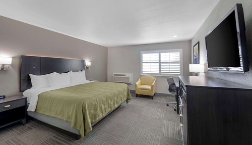 Room, 1 King Bed, Non Smoking