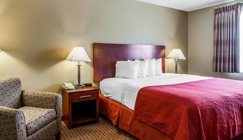 Standard Room, 1 King Bed, Non Smoking