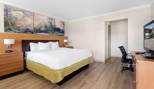 Room, 1 King Bed, Non Smoking, Pool View