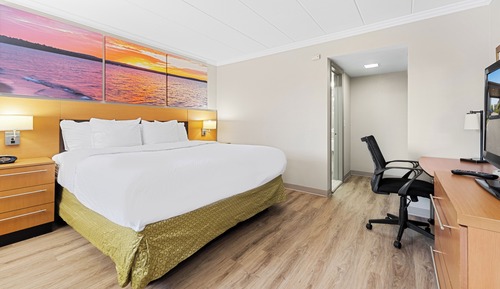 Room, 1 King Bed, Non Smoking
