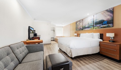 Studio Suite, 1 King Bed, Non Smoking, Pool View