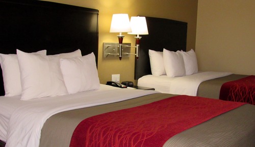 Standard Room, Multiple Beds, Non Smoking (Lower Floor)