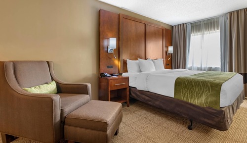 Room, 1 King Bed, Accessible, Non Smoking