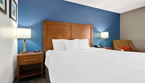 Room, 1 King Bed, Non Smoking