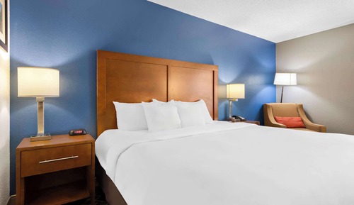 Standard Room, 1 King Bed, Non Smoking