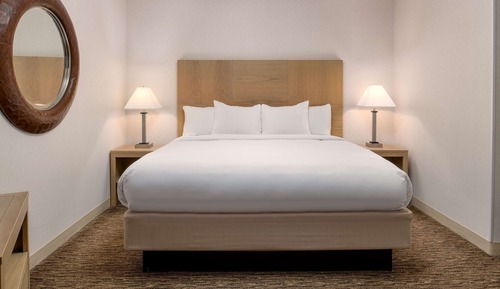 Studio Suite, 1 King Bed with Sofa bed, Non Smoking
