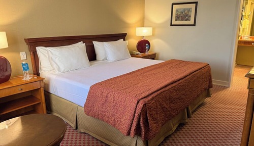 Suite, 1 King Bed