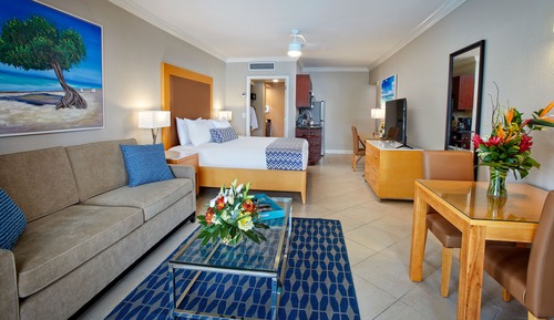 Studio Suite, 1 King Bed