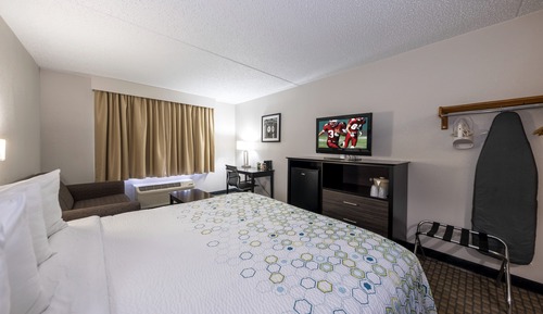 Standard Room, 1 King Bed with Sofa bed, Non Smoking (Microwave & Refrigerator)