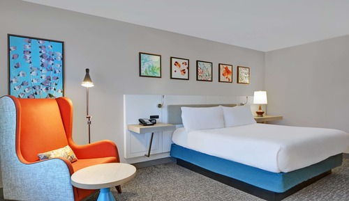 Room, 1 King Bed, Accessible, Bathtub (Mobility & Hearing)