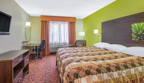 Suite, 1 King Bed, Non Smoking (Mini Suite)