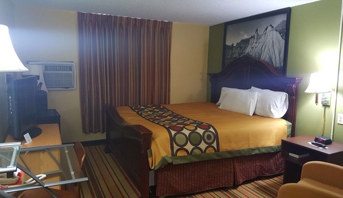 Room, 1 King Bed, Non Smoking, Microwave
