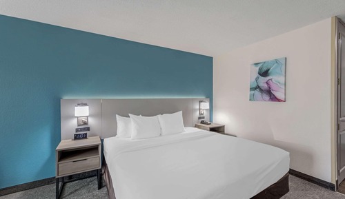 Standard, One King Bed, Non-Smoking