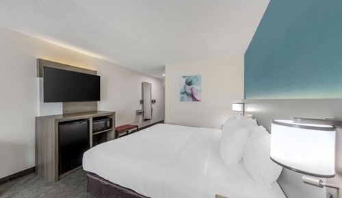Room, 1 King Bed, Accessible, Non Smoking (Roll-In Shower)