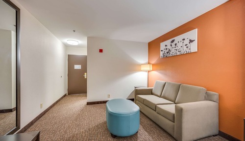 Suite, 1 King Bed, Non Smoking
