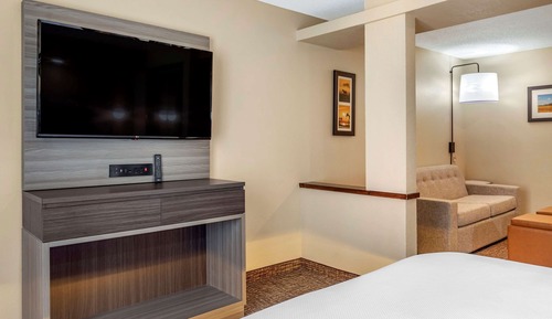 Suite, 1 King Bed with Sofa bed, Non Smoking