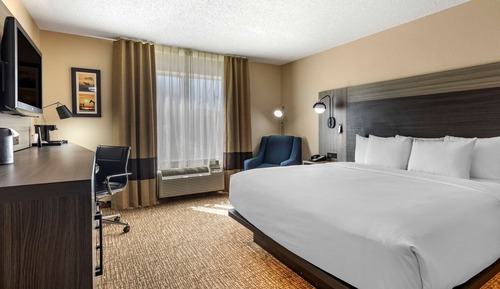 Standard Room, 1 King Bed, Non Smoking