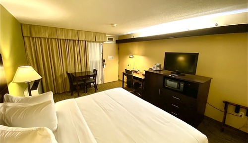 Room, 1 King Bed (Outer Corridor)