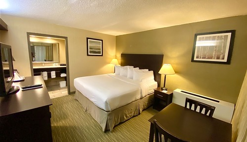 Room, 1 King Bed, Non Smoking