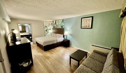 Room, 1 King Bed with Sofa bed, Non Smoking, Patio