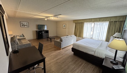 Suite, 1 King Bed with Sofa bed