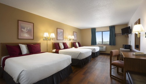 Studio Suite, Multiple Beds, Non Smoking