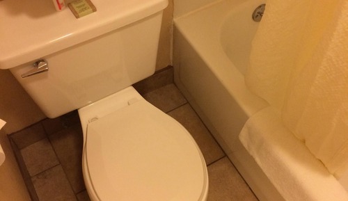 Suite, 1 King Bed, Microwave