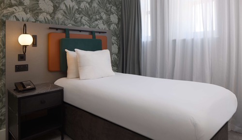 Room, 1 Twin Bed