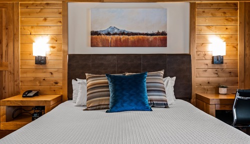 Room, 1 King Bed