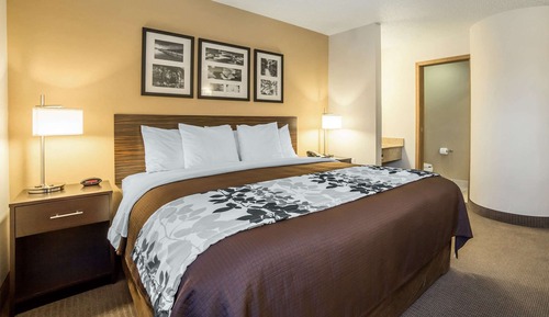 Room, 1 King Bed, Accessible, Non Smoking