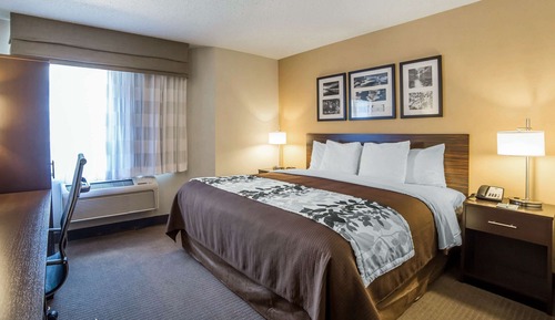 Room, 1 King Bed, Accessible, Non Smoking